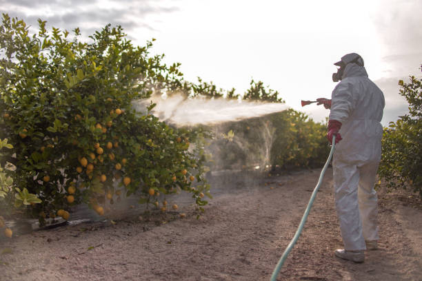 Best Cockroach Control Services  in Doral, FL