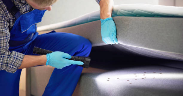Best Pest Prevention Services  in Doral, FL