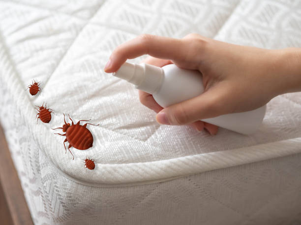 Best Bed Bug Extermination  in Doral, FL