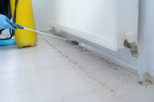 Best Emergency Pest Control  in Doral, FL