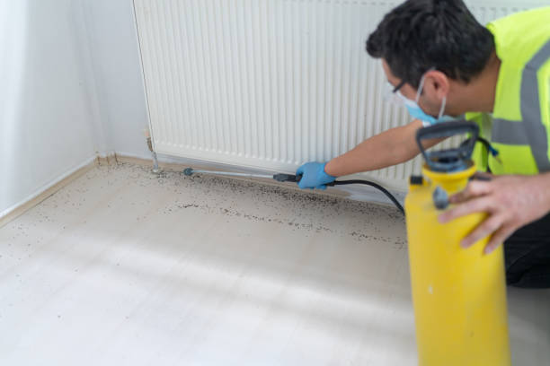 Best Insect Control  in Doral, FL